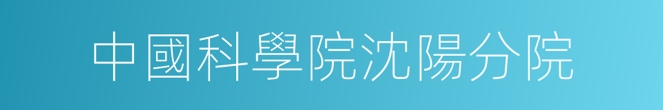 中國科學院沈陽分院的同義詞