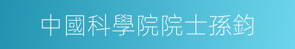 中國科學院院士孫鈞的同義詞