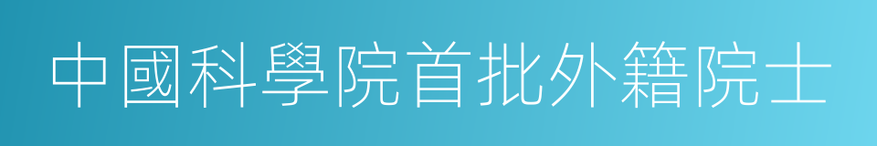 中國科學院首批外籍院士的同義詞