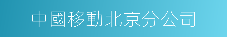 中國移動北京分公司的同義詞