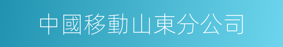 中國移動山東分公司的同義詞