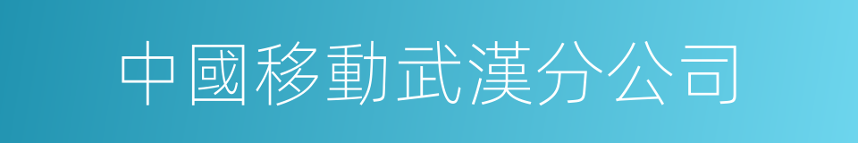 中國移動武漢分公司的同義詞