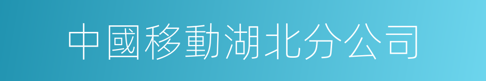 中國移動湖北分公司的同義詞