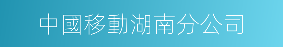 中國移動湖南分公司的同義詞
