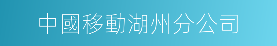 中國移動湖州分公司的同義詞