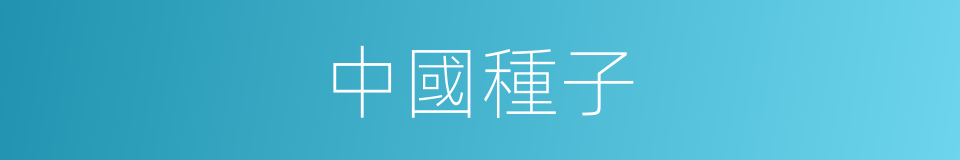 中國種子的同義詞