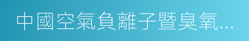 中國空氣負離子暨臭氧研究學會的同義詞