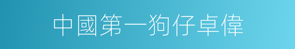 中國第一狗仔卓偉的同義詞