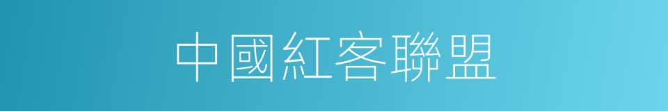 中國紅客聯盟的同義詞