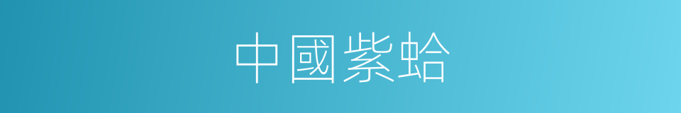 中國紫蛤的同義詞