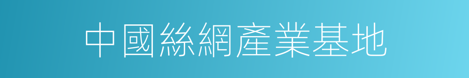 中國絲網產業基地的同義詞