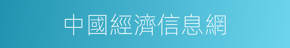 中國經濟信息網的同義詞