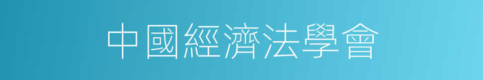 中國經濟法學會的同義詞