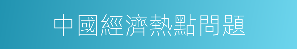 中國經濟熱點問題的同義詞