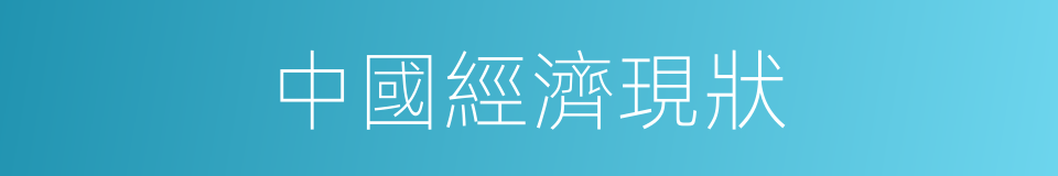 中國經濟現狀的同義詞