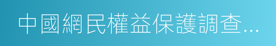 中國網民權益保護調查報告的同義詞