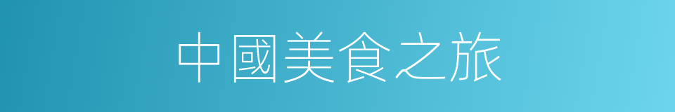 中國美食之旅的同義詞