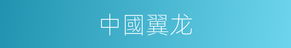 中國翼龙的同義詞