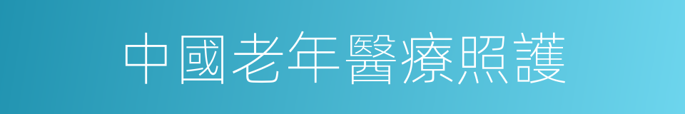 中國老年醫療照護的同義詞