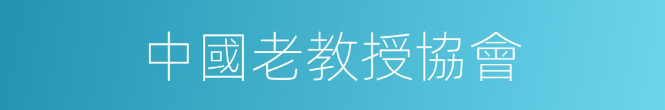 中國老教授協會的同義詞