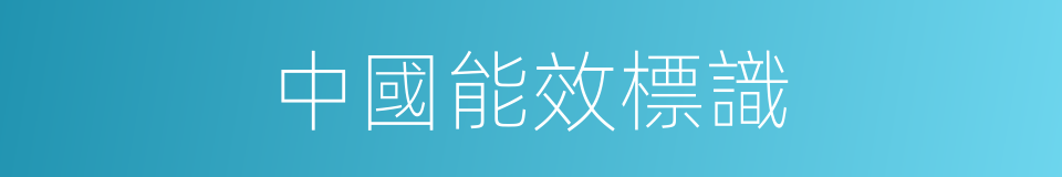 中國能效標識的同義詞