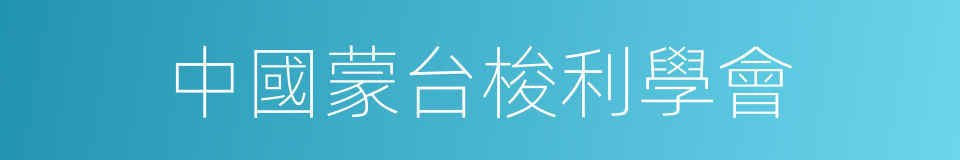 中國蒙台梭利學會的同義詞