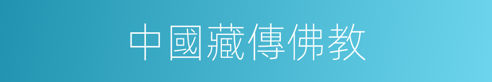 中國藏傳佛教的同義詞