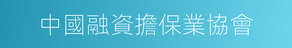 中國融資擔保業協會的同義詞