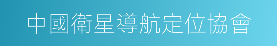 中國衛星導航定位協會的同義詞