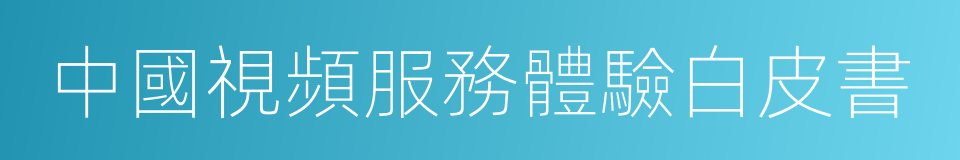 中國視頻服務體驗白皮書的同義詞