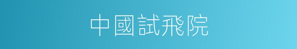 中國試飛院的同義詞