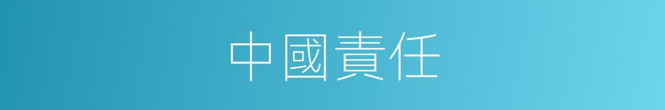 中國責任的同義詞