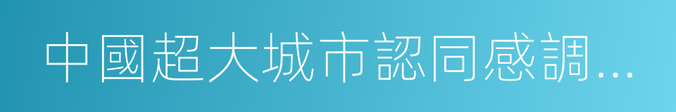 中國超大城市認同感調查報告的同義詞