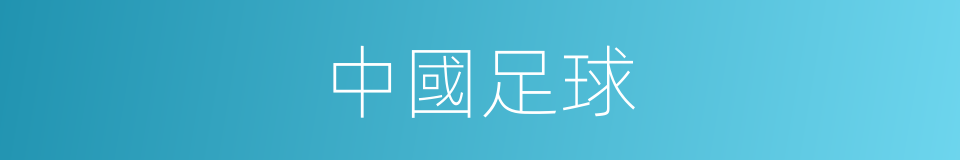 中國足球的同義詞