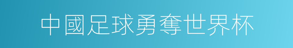 中國足球勇奪世界杯的同義詞