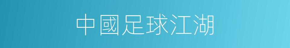 中國足球江湖的同義詞