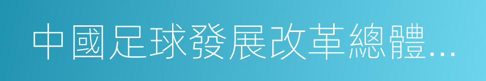 中國足球發展改革總體方案的同義詞