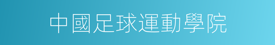 中國足球運動學院的同義詞