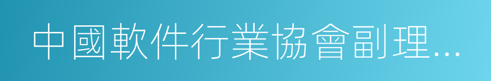 中國軟件行業協會副理事長的同義詞