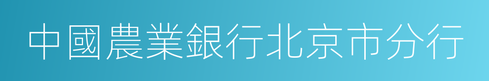 中國農業銀行北京市分行的同義詞