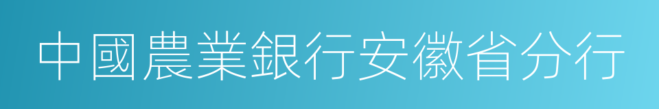 中國農業銀行安徽省分行的同義詞