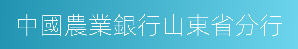 中國農業銀行山東省分行的同義詞