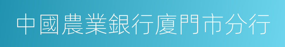 中國農業銀行廈門市分行的同義詞