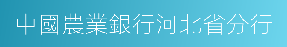 中國農業銀行河北省分行的同義詞