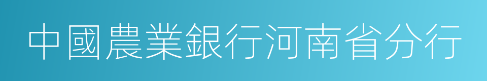 中國農業銀行河南省分行的同義詞