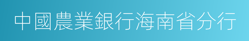 中國農業銀行海南省分行的同義詞