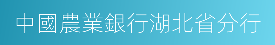 中國農業銀行湖北省分行的同義詞