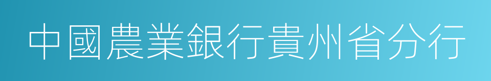 中國農業銀行貴州省分行的同義詞