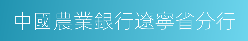 中國農業銀行遼寧省分行的同義詞