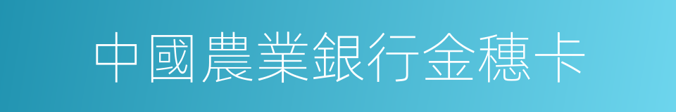 中國農業銀行金穗卡的同義詞